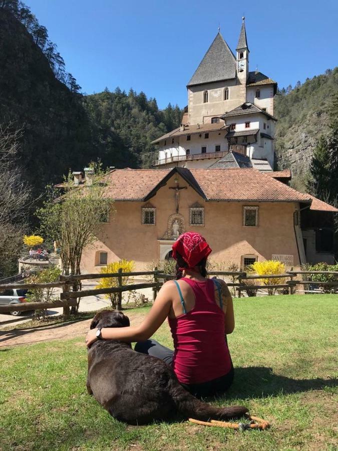 Apartmán Casa Streberi Castelfondo Exteriér fotografie
